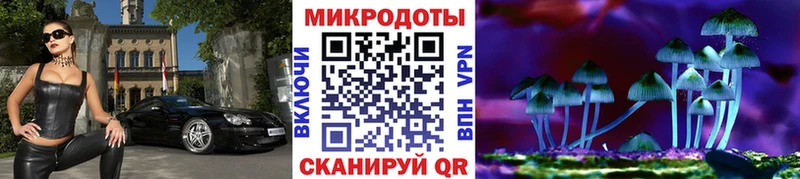 где можно купить наркотик  Всеволожск  Псилоцибиновые грибы Magic Shrooms 