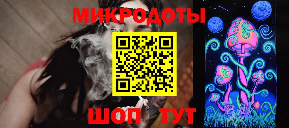Галлюциногенные грибы Psilocybe Всеволожск
