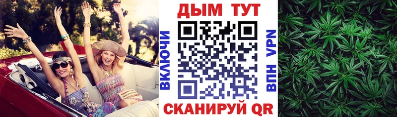 как найти наркотики  Всеволожск  Бошки Шишки конопля 